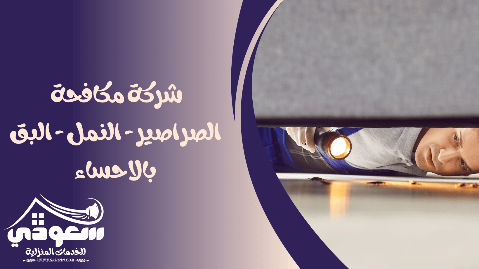 مكافحة النمل والصراصير والبق بالاحساء